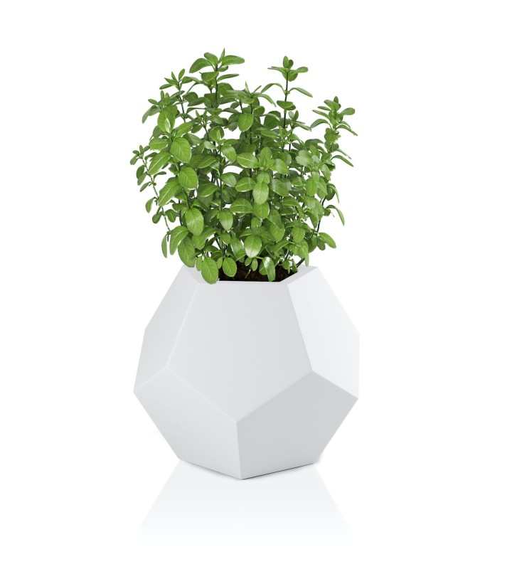 Donica Alma biała + roślina.jpg