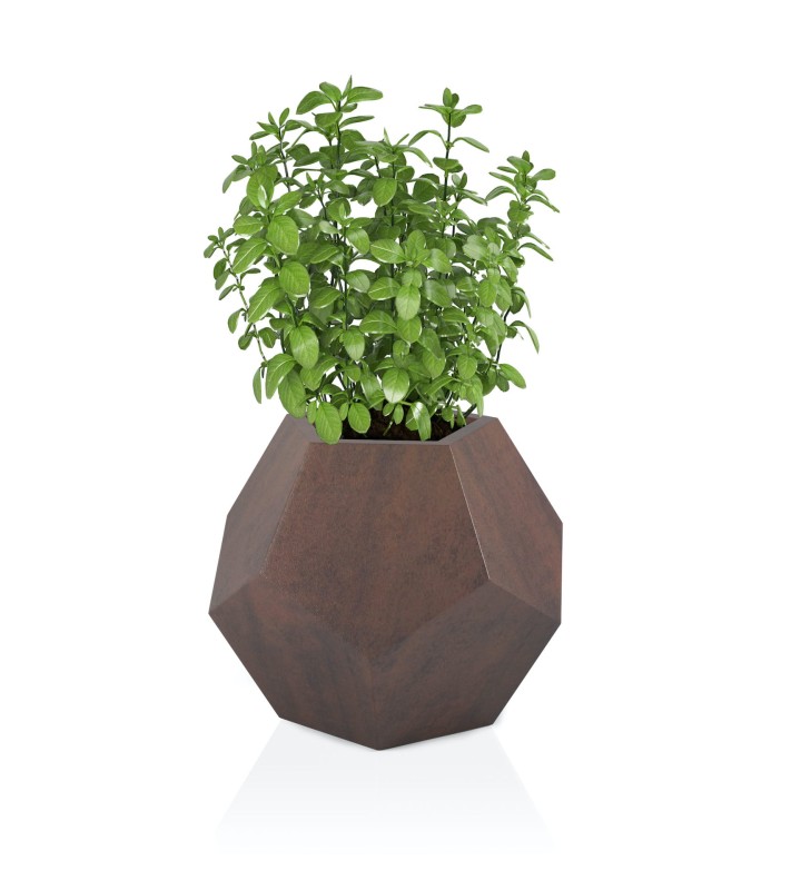 Donica Alma Corten Effect_Brąz+ roślina.jpg