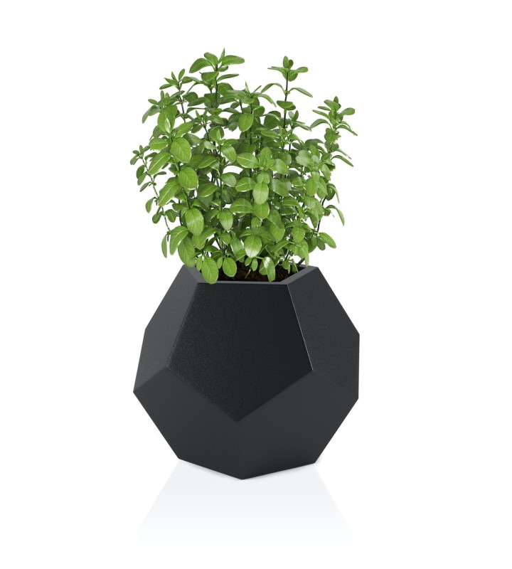 Donica Alma czarna + roślina.jpg