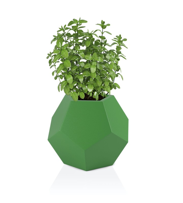 Donica Alma limonka + roślina.jpg