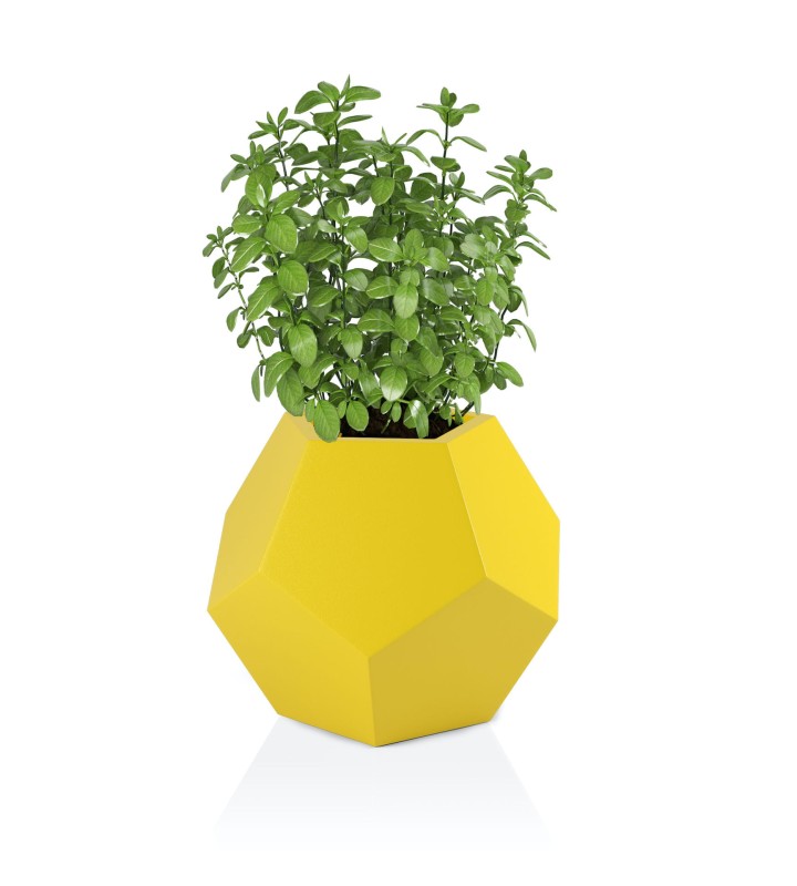 Donica Alma żółta +roślina.jpg