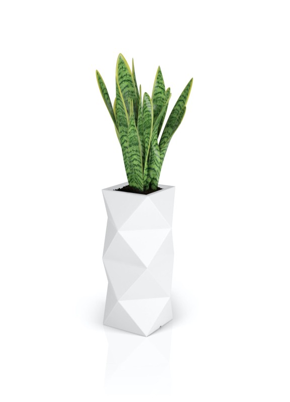 Donica Asti biała + roślina.jpg