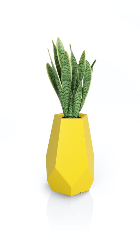 Donica Bari żółta + roślina.jpg