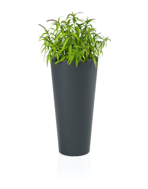 Donica Habana antracyt + roślina.jpg