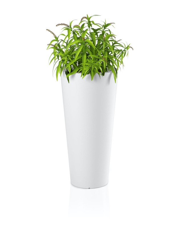 Donica Habana biała + roślina.jpg