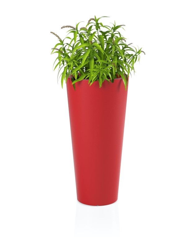 Donica Habana czerwona + roślina.jpg