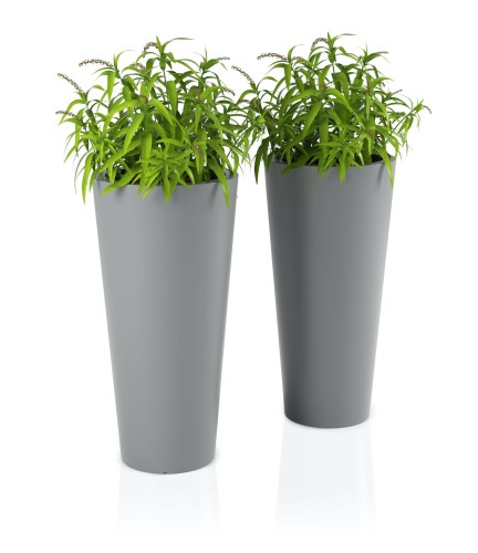 Wysoka donica :: HABANA