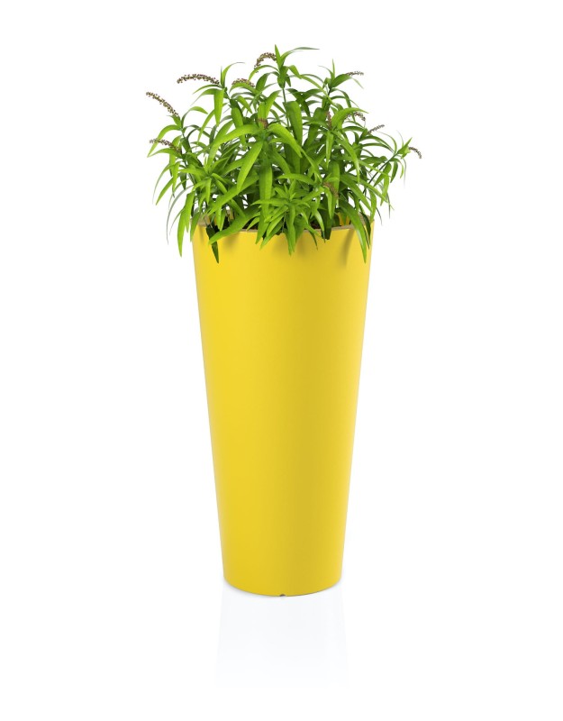 Donica Habana żołta + roślina.jpg