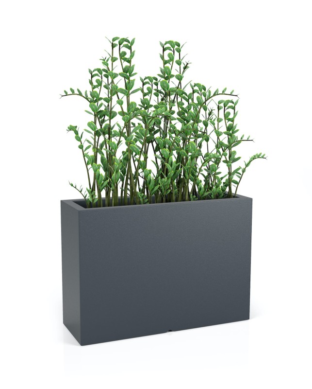 Donica Longerino antracyt + roślina.jpg