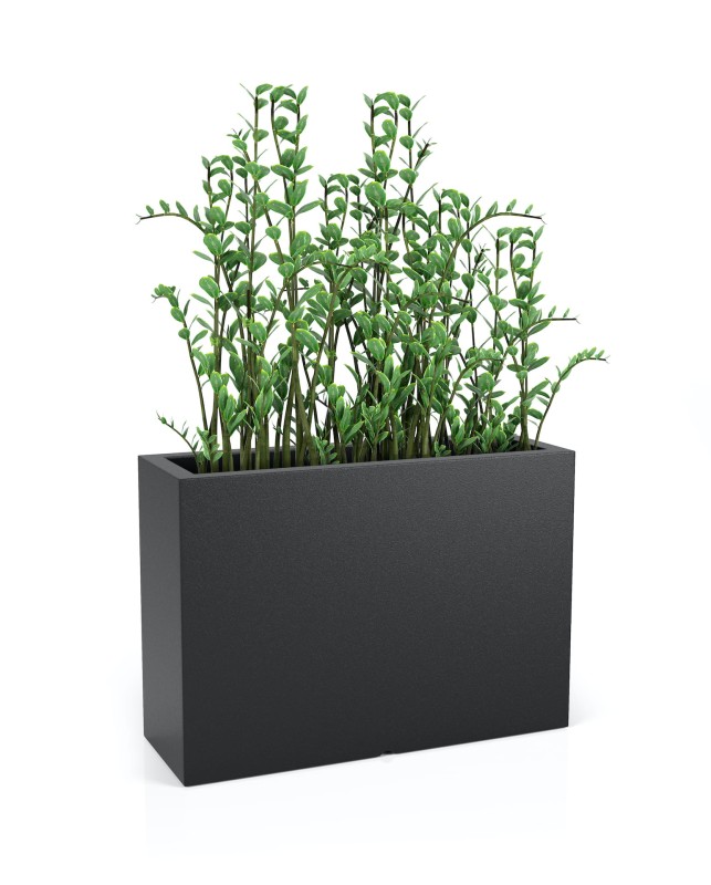 Donica Longerino czarna + roślina.jpg