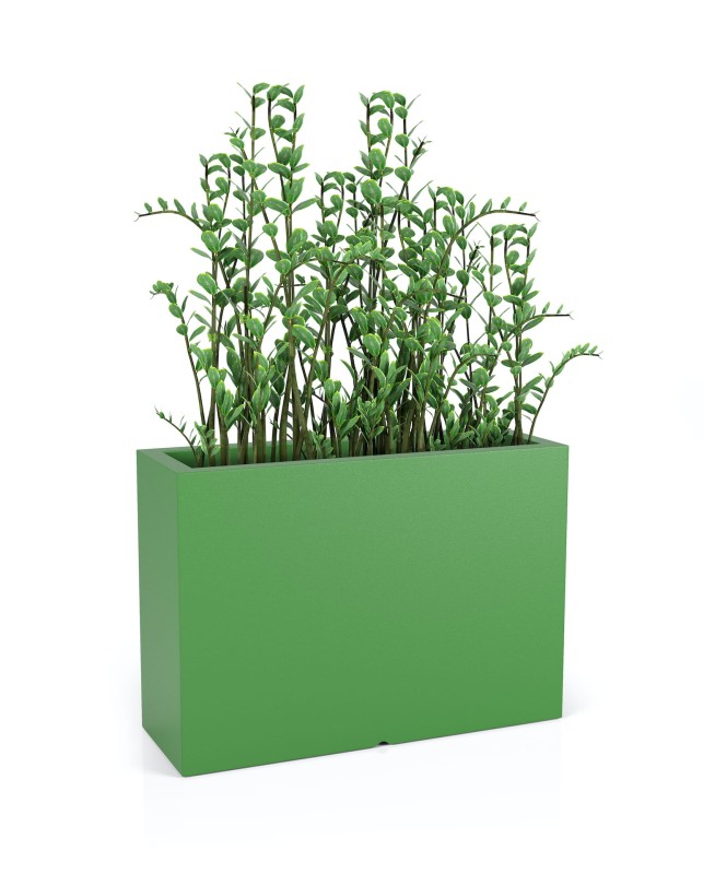 Donica Longerino limonka + roślina.jpg