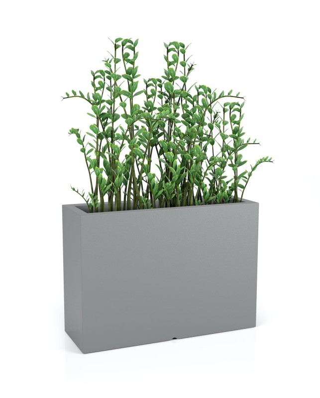 Donica Longerino szara + roślina.jpg