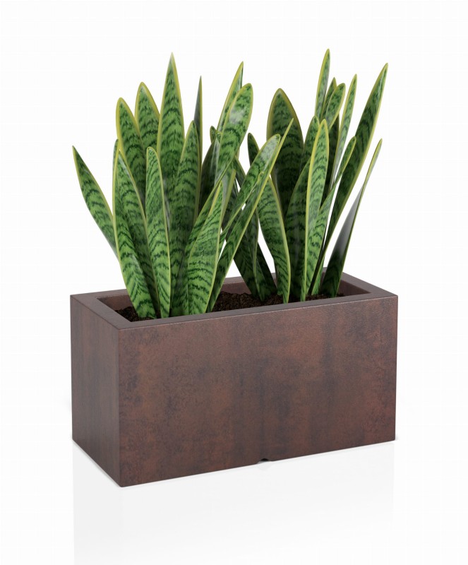 Donica Lungo Corten effect + roślina.jpg