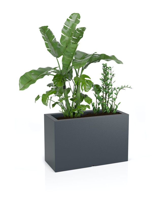 Donica Lungo maxi antracyt + roślina.jpg