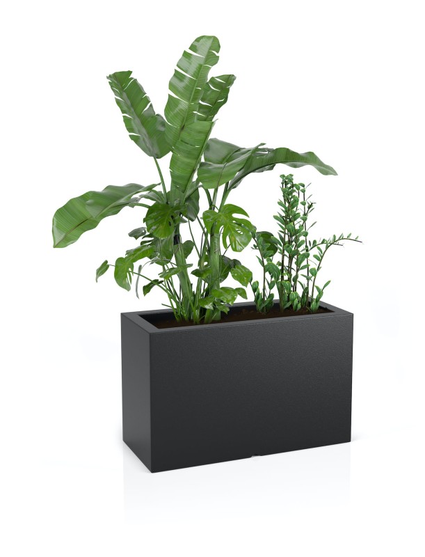 Donica Lungo maxi czarna + roślina.jpg