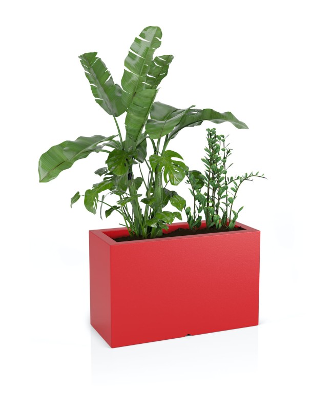 Donica Lungo maxi czerwona + roślina.jpg