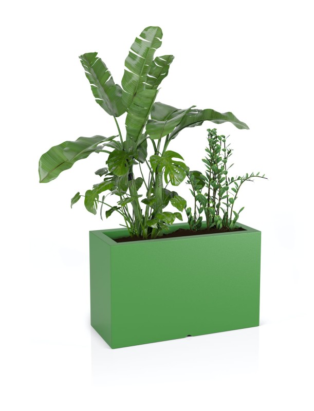 Donica Lungo maxi limonka + roślina.jpg