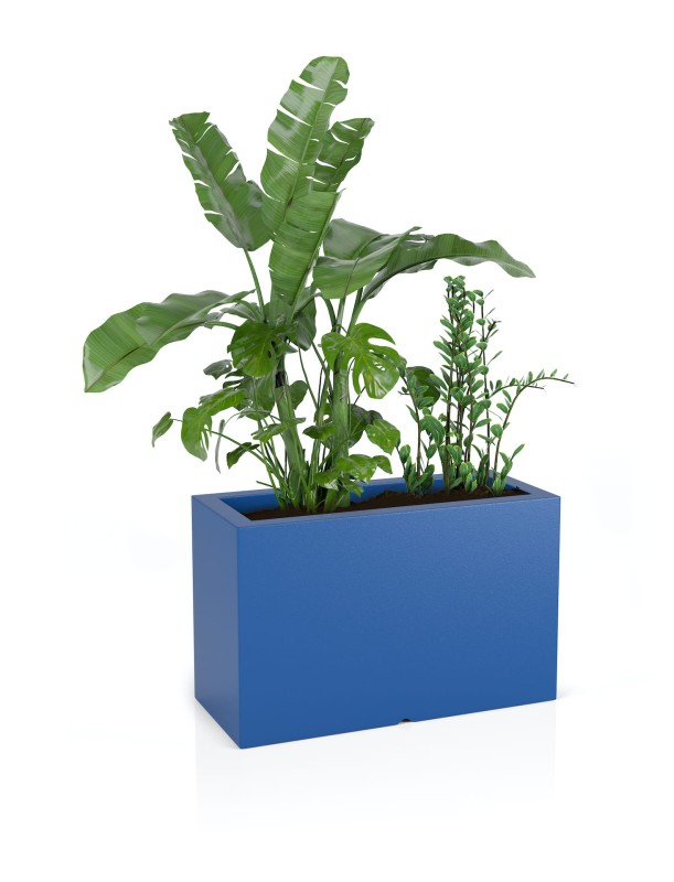 Donica Lungo maxi niebieska + roślina.jpg