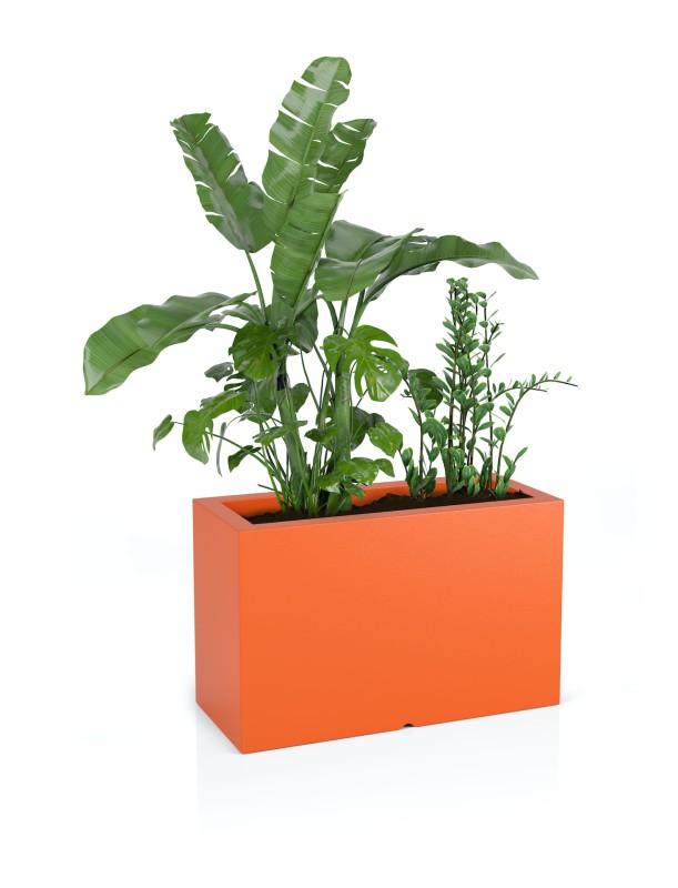 Donica Lungo maxi pomarańczowa + roślina.jpg