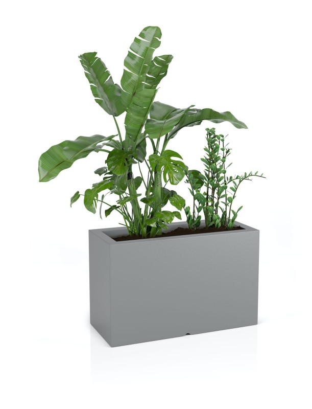 Donica Lungo maxi szara + roślina.jpg