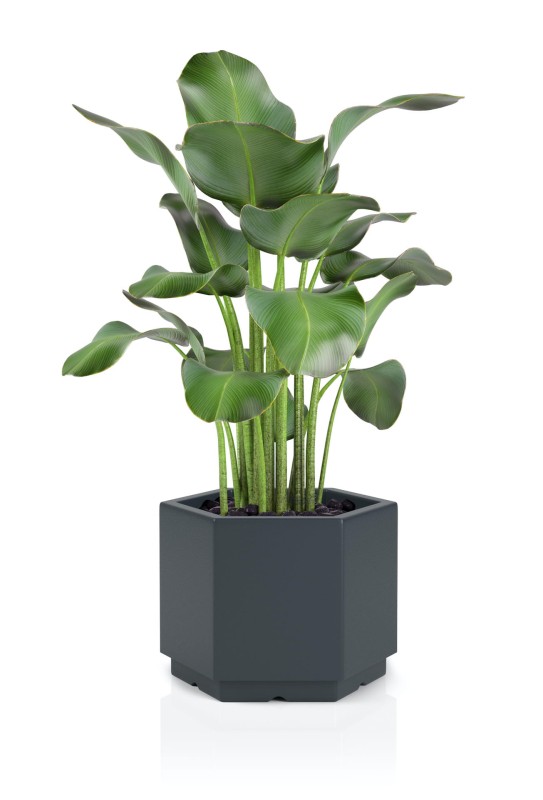 Donica Malmo antracytowa + roślina.jpg