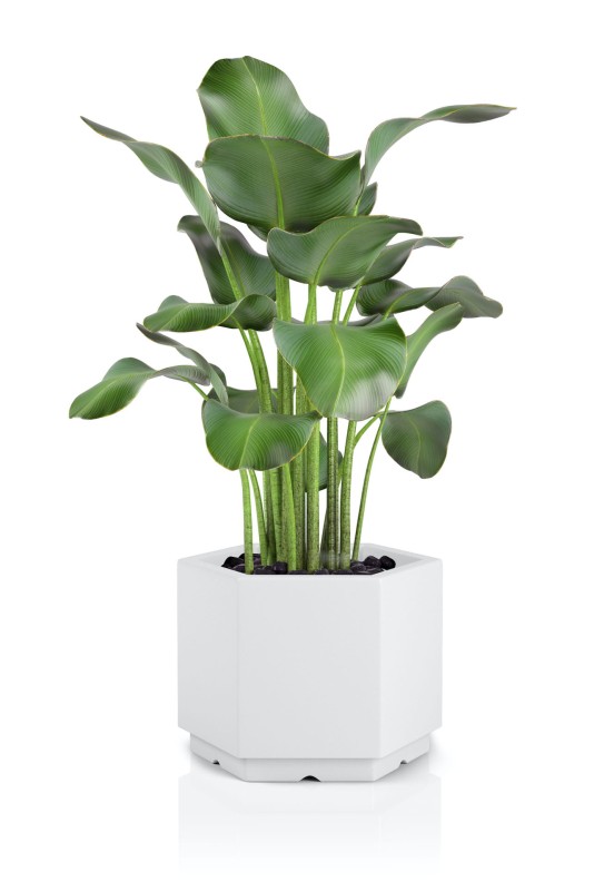 Donica Malmo biała + roślina.jpg