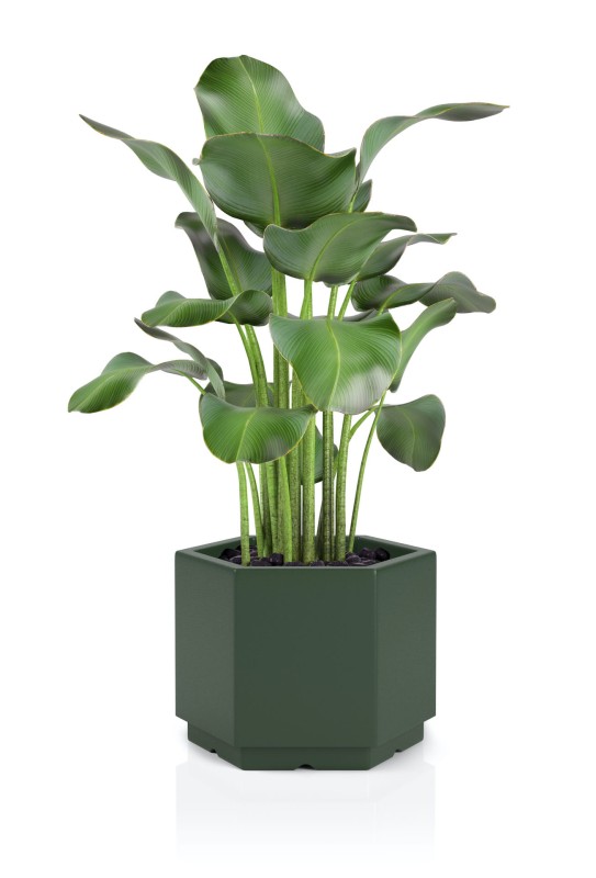 Donica Malmo butelkowa zieleń + roślina.jpg