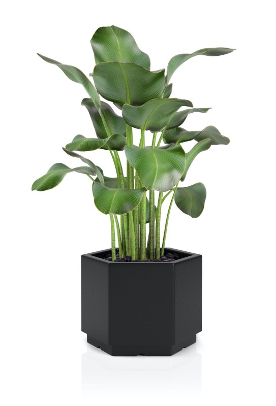 Donica Malmo czarna + roślina.jpg