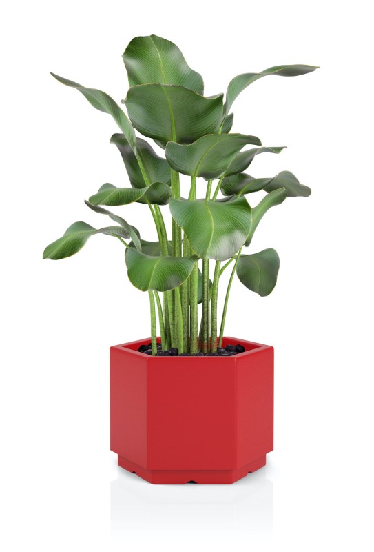 Donica Malmo czerwona + roślina.jpg