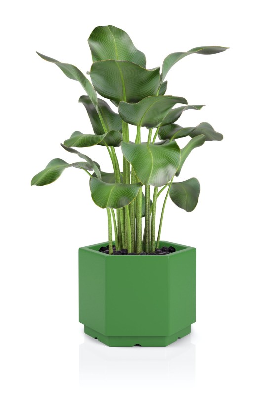 Donica Malmo limonka + roślina.jpg