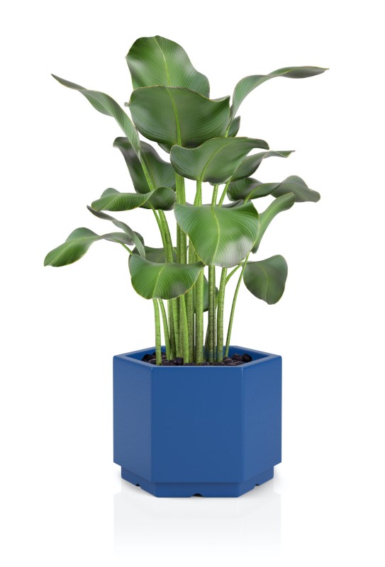 Donica Malmo niebieska + roślina.jpg