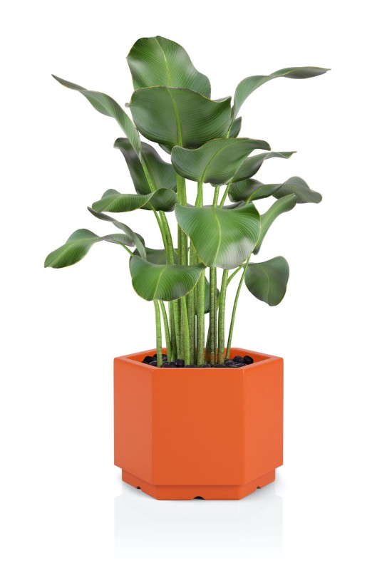 Donica Malmo pomarańczowa + roślina.jpg