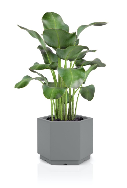 Donica Malmo szara + roślina.jpg