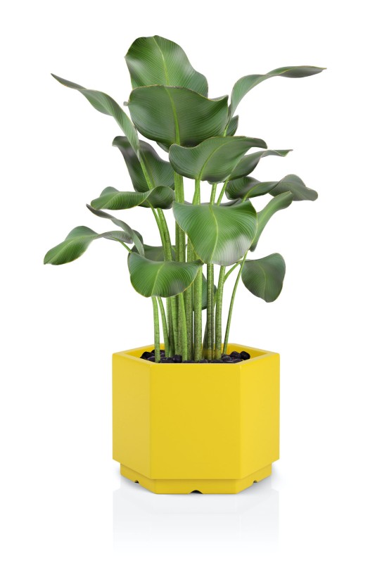 Donica Malmo żółta + roślina.jpg