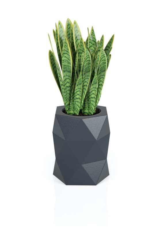 Donica Modena antracyt + roślina.jpg