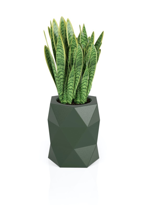 Donica Modena butelkowa zieleń + roślina.jpg