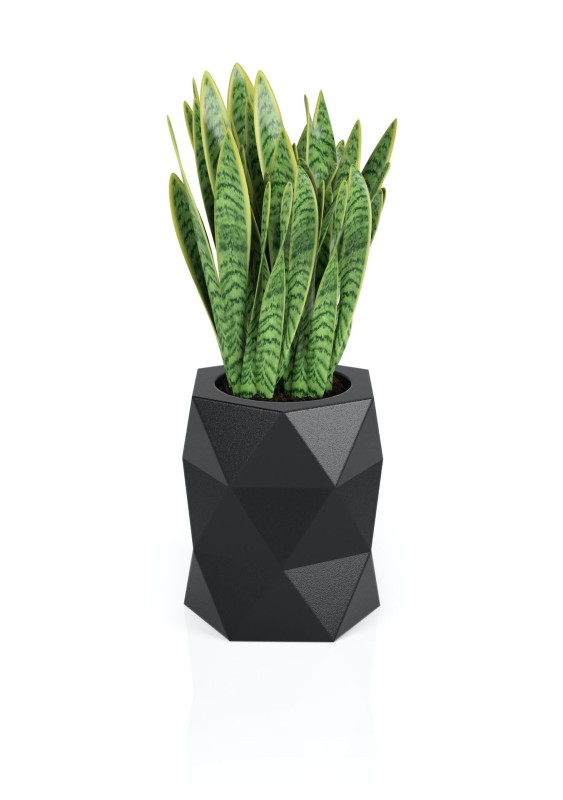 Donica Modena czarna + roślina.jpg