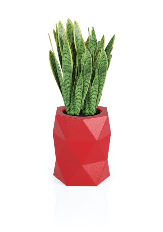 Donica Modena czerwona + roślina.jpg