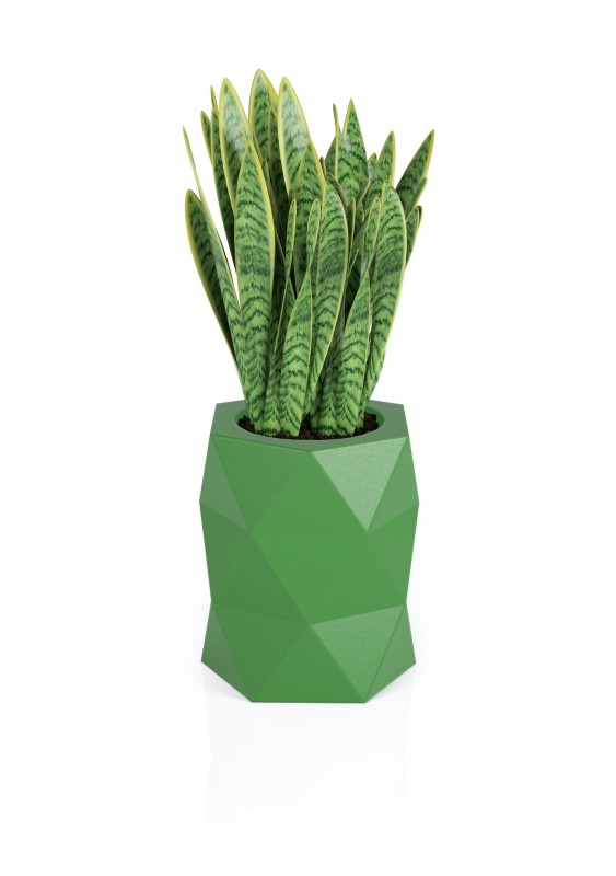 Donica Modena limonka + roślina.jpg