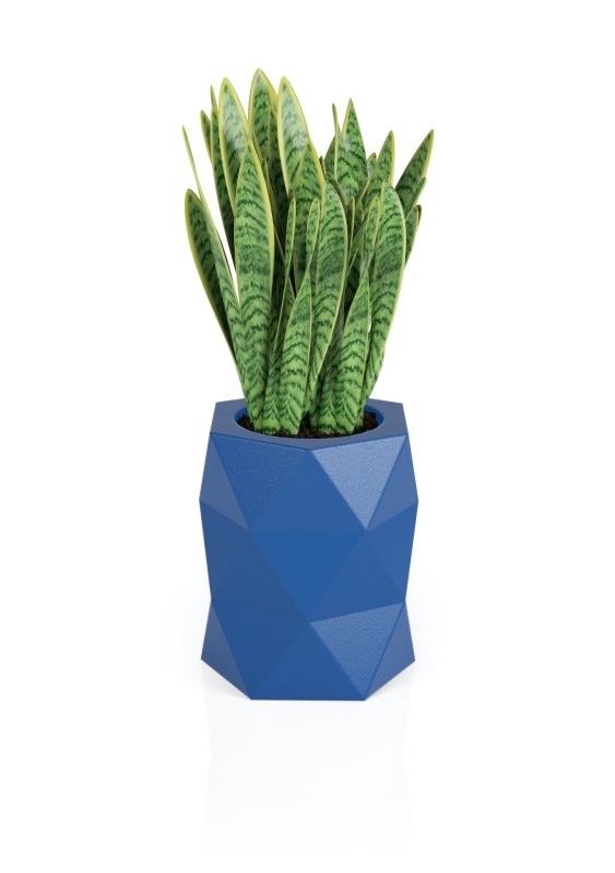 Donica Modena niebieska + roślina.jpg