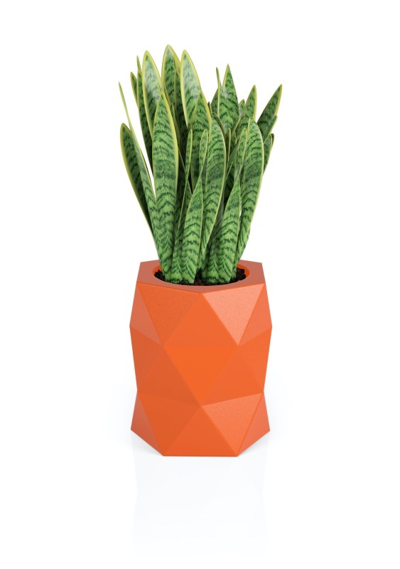 Donica Modena pomarańczowa + roślina.jpg