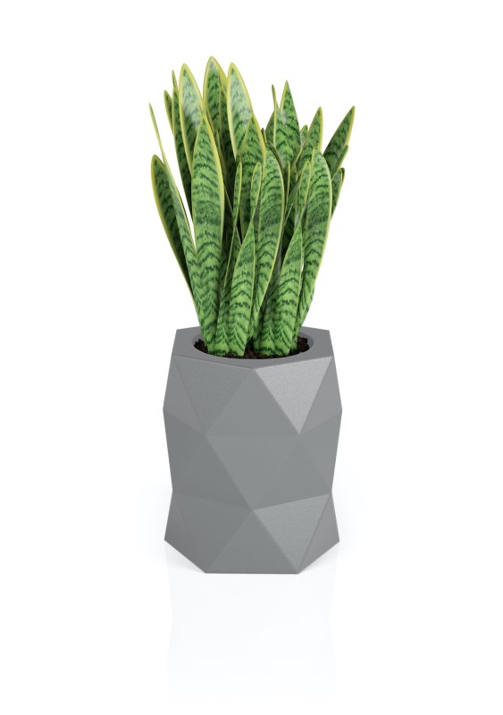 Donica Modena szara + roślina.jpg