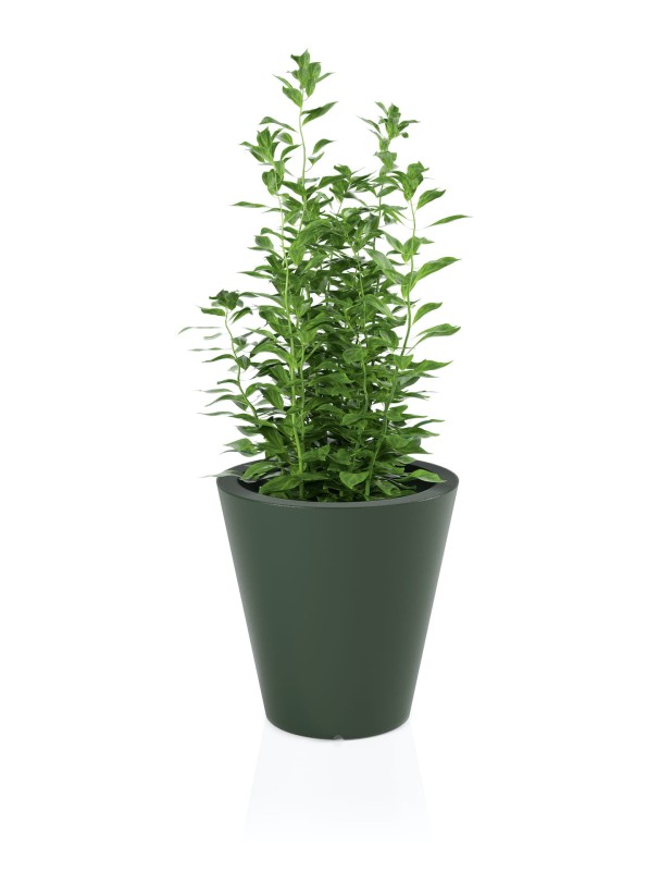 Donica OVO butelkowa zieleń + roślina.jpg