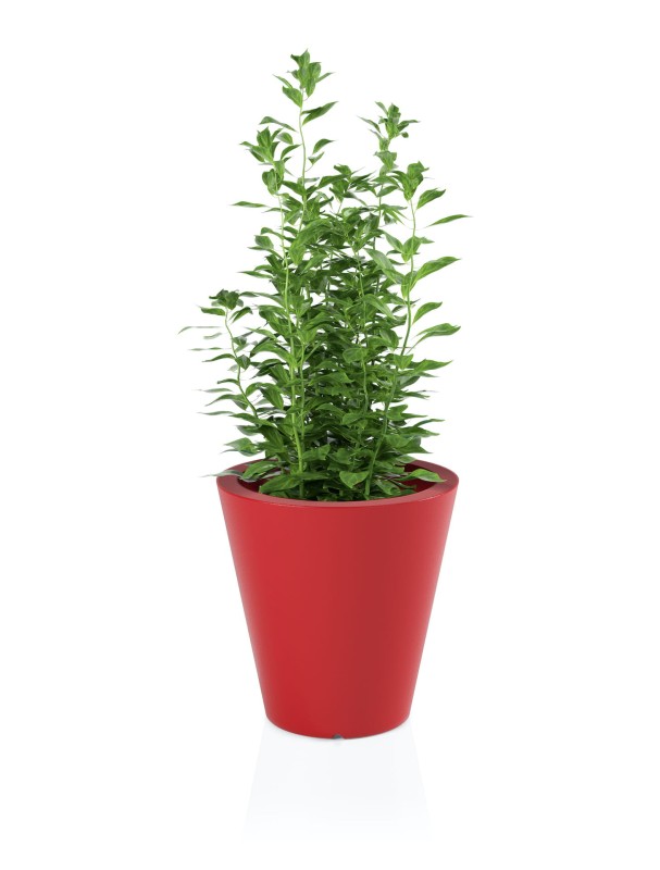 Donica OVO czerwona + roślina.jpg