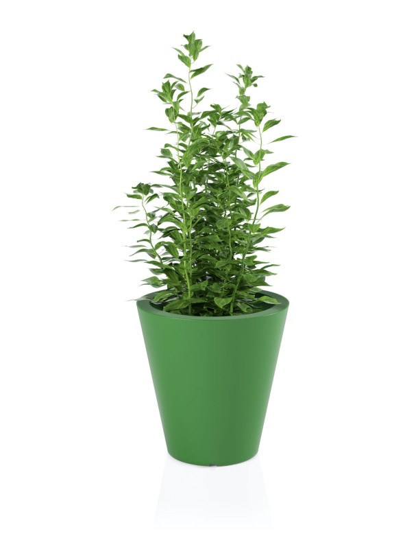 Donica OVO liomnka + roślina.jpg