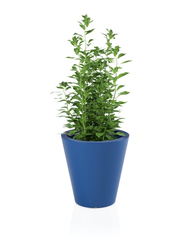 Donica OVO niebieska + roślina.jpg