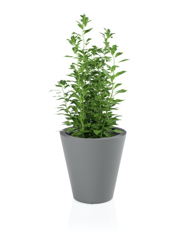 Donica OVO szara + roślina.jpg