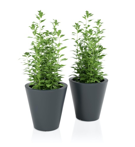 Donica  ogrodowa :: OVO