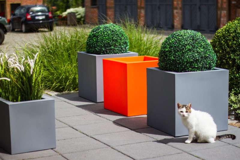 donice_Pixel _03.jpg