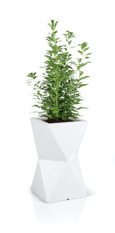 Donica Valencia biała + roślina.jpg